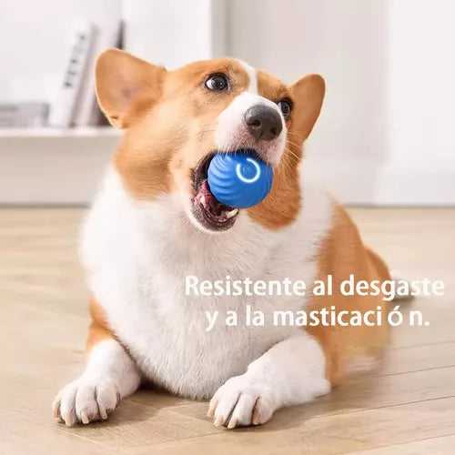 Pelota De Juguete Para Perros Inteligente,pelota Interactiva