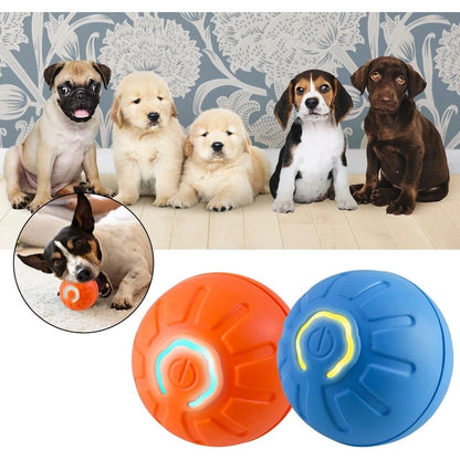 🐶PELOTA INTELIGENTE PARA MASCOTA🎮